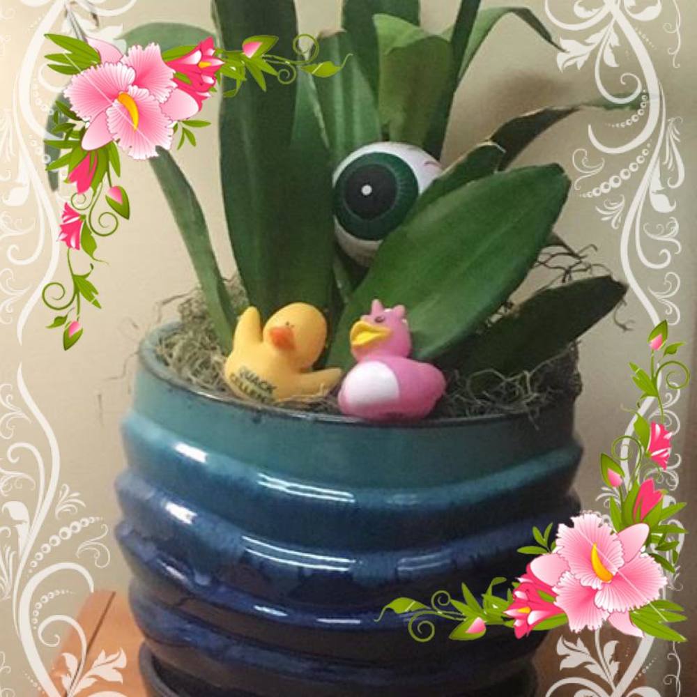 Meet your Posher, Teresa